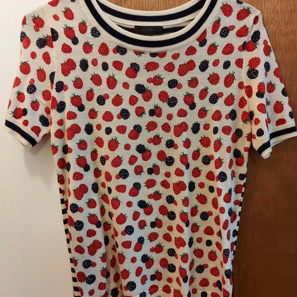 J. Crew Sweater t shirt